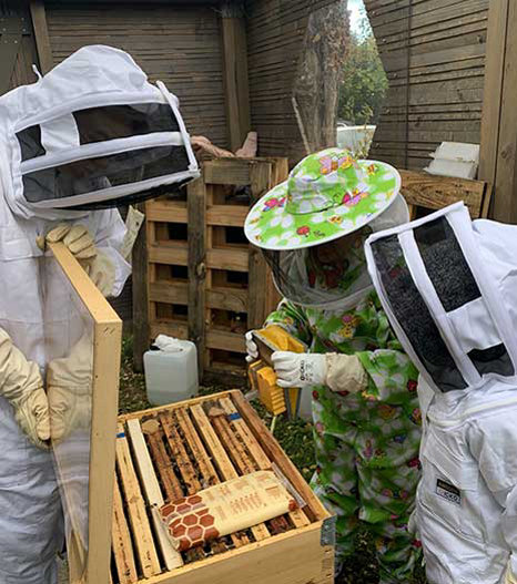 Des abeilles à l'hôpital - Des projets qui transforment l'hôpital - mailing printemps 2026 - Fondation des Hôpitaux